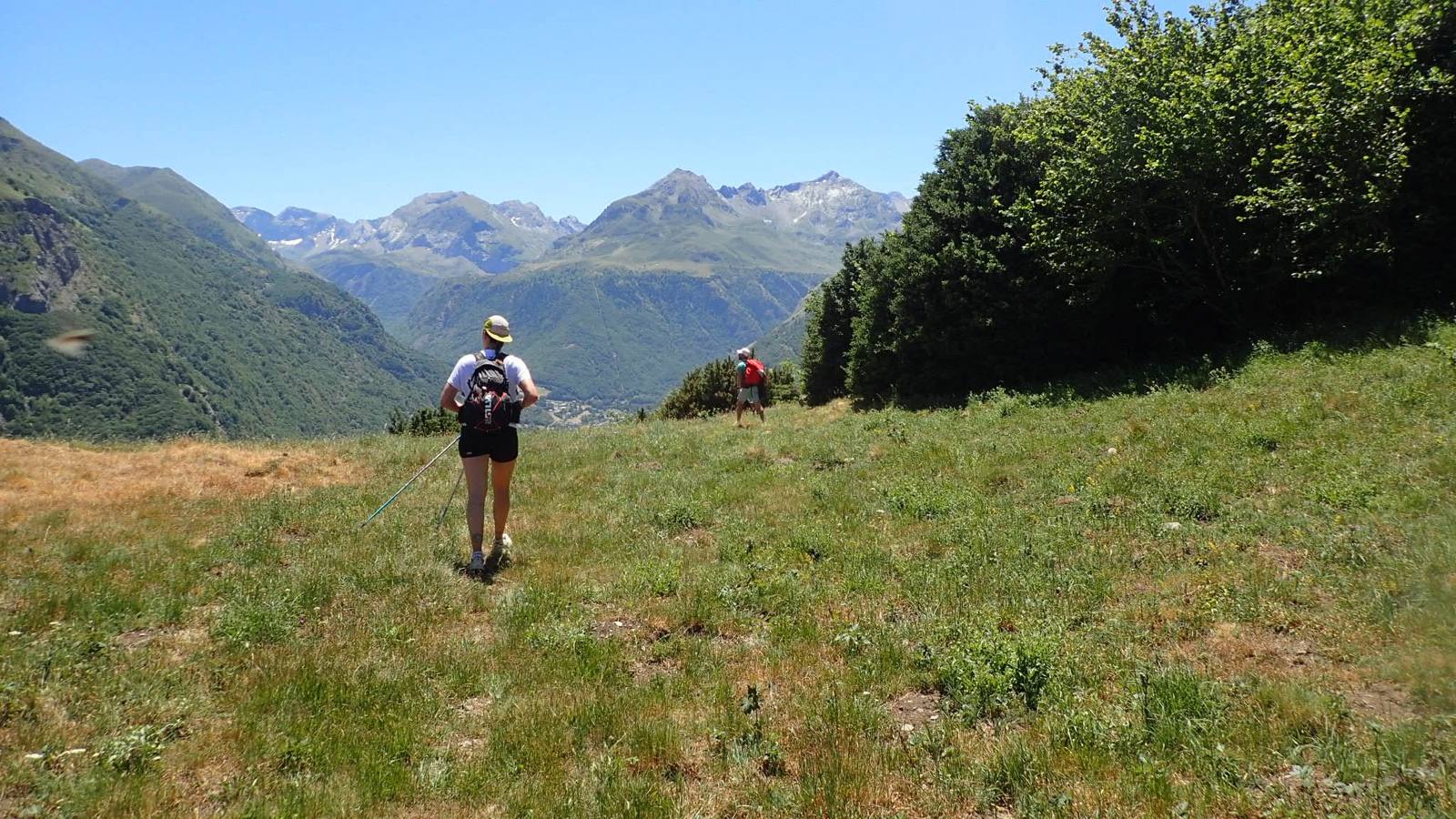 Une traileuse de dos dans une prairie d’altitude, face aux montagnes