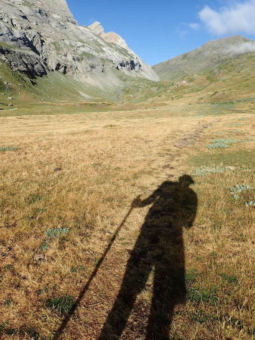 Ombre d’un traileur bâtons en main, projetée sur l’herbe sèche